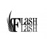 Flash Lashes